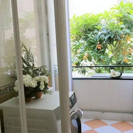 Apartment Roses & Ivy, Rue Du Congres *